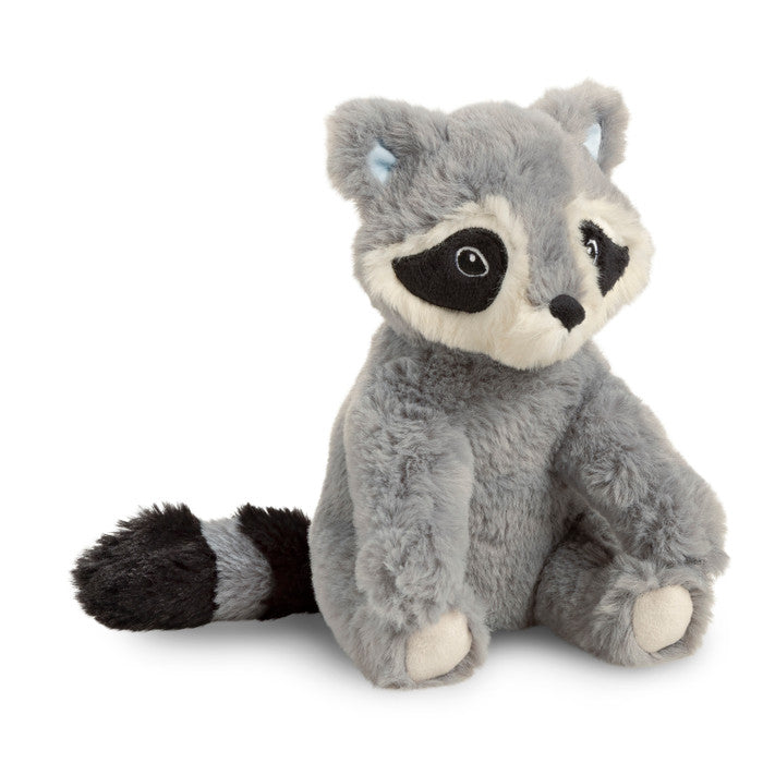 Chasing Dreams Raccoon
