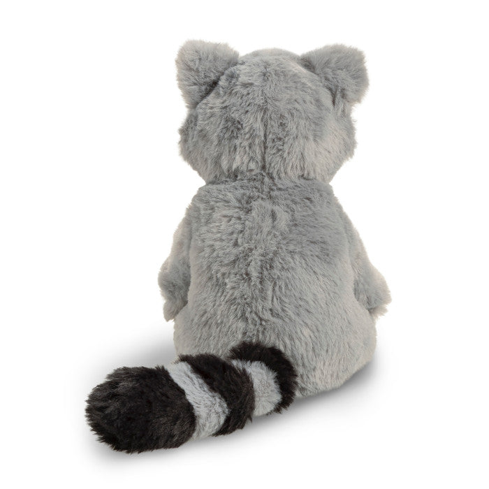 Chasing Dreams Raccoon