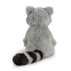 Chasing Dreams Raccoon
