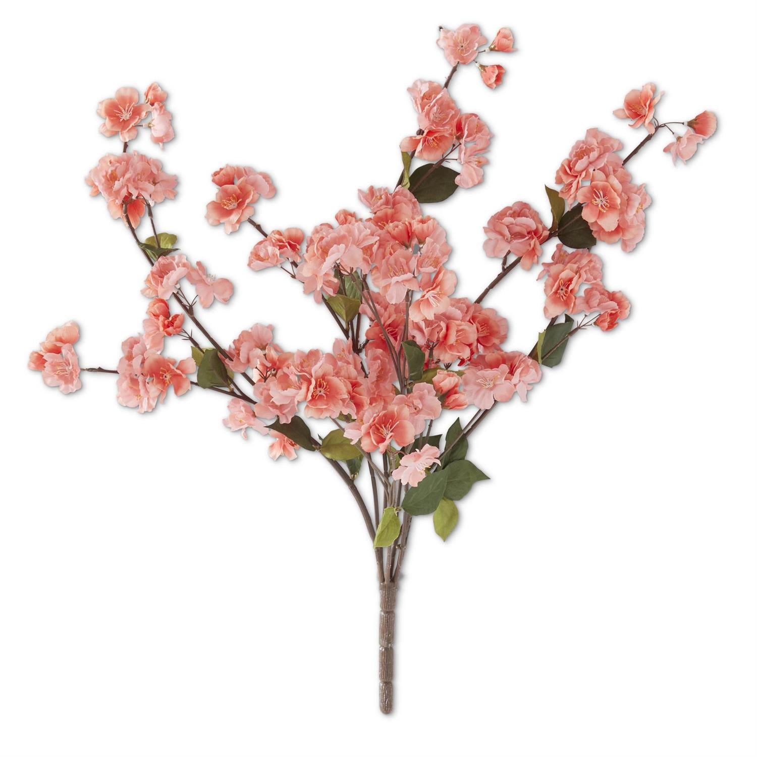 Coral Peach Blossom Stem