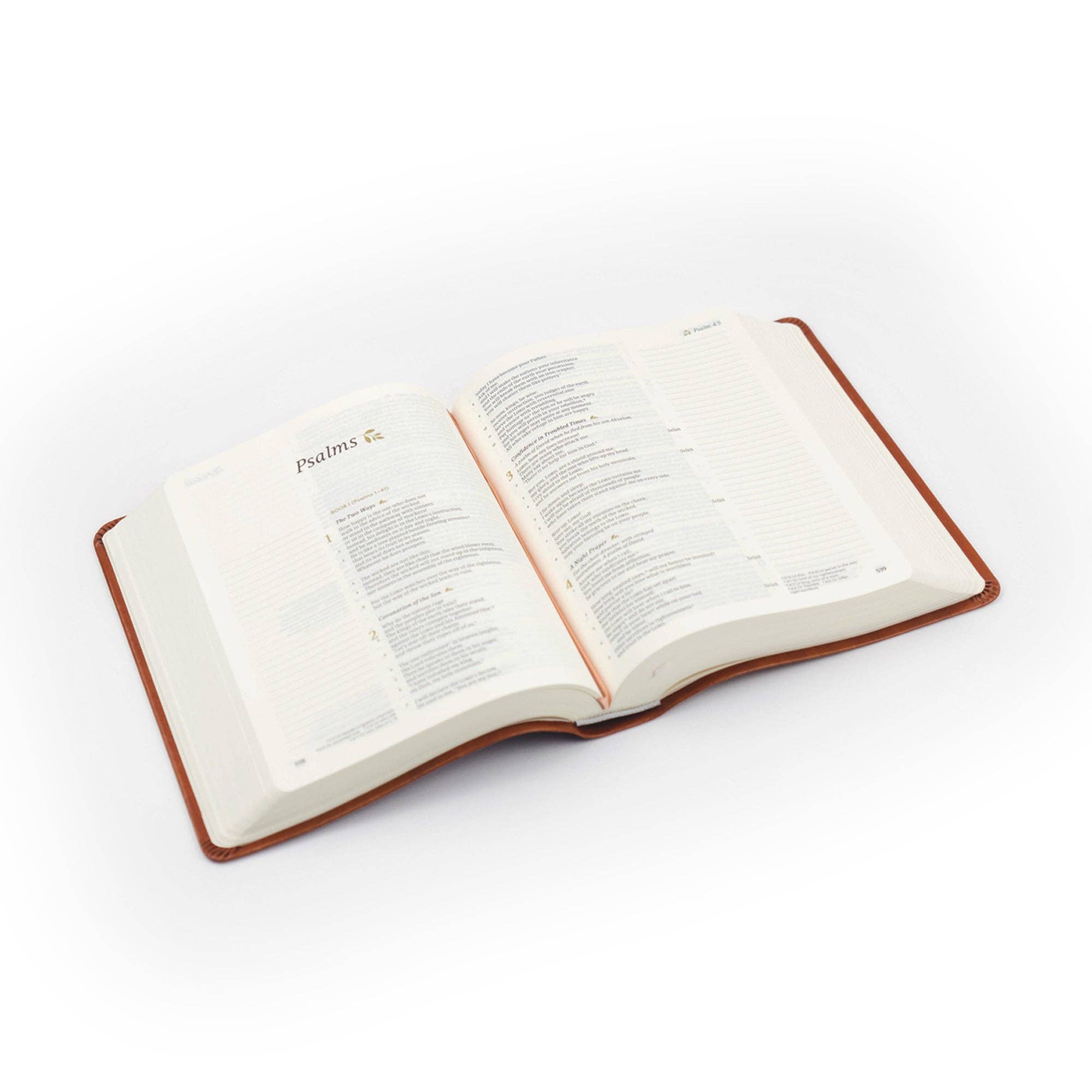 Vienna Theme CSB Notetaking Bible