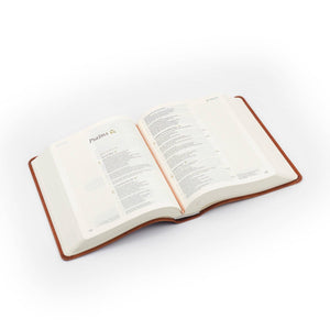 Vienna Theme CSB Notetaking Bible