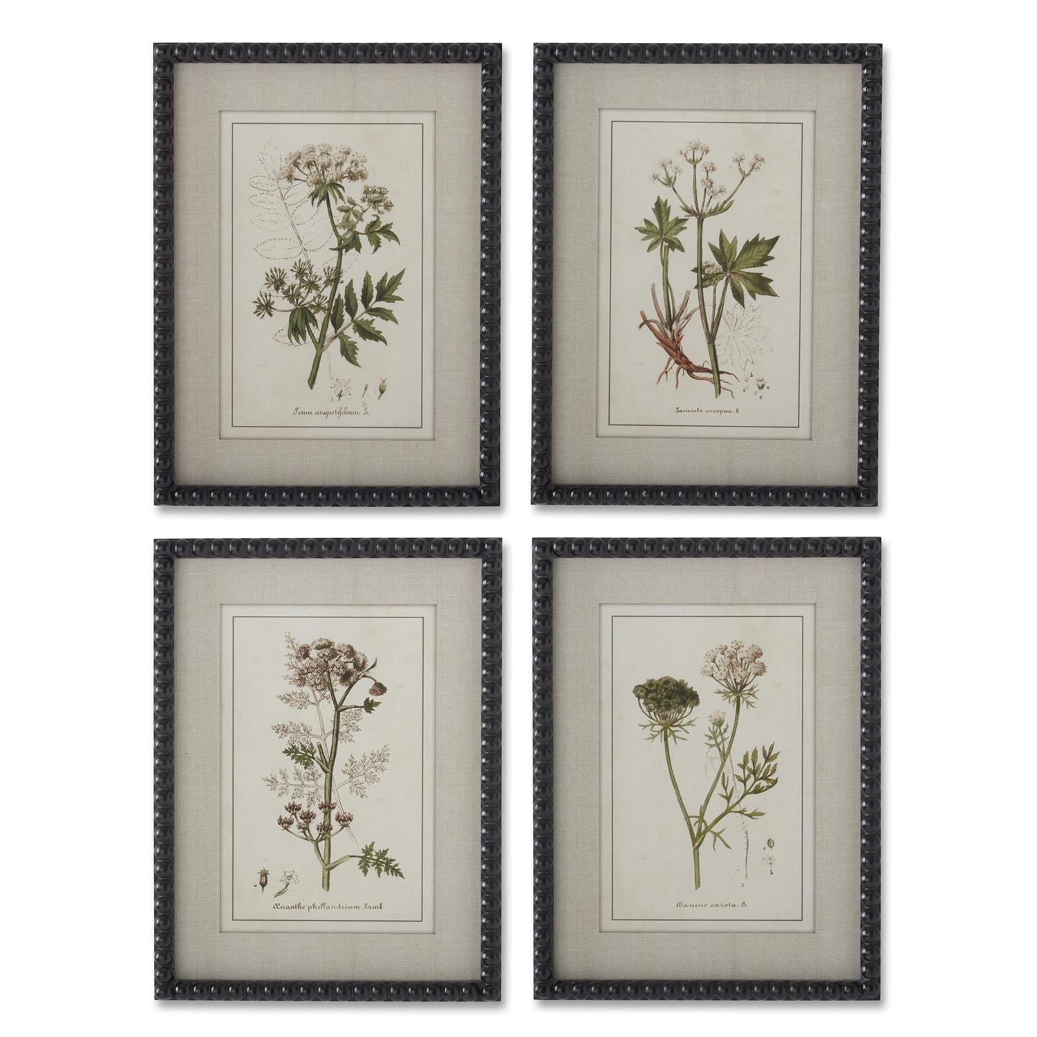 Black Bead Frame Botanical Print