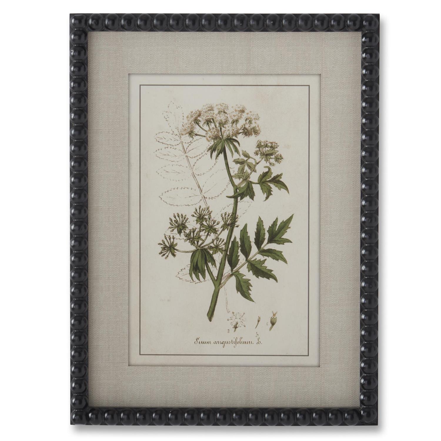 Black Bead Frame Botanical Print