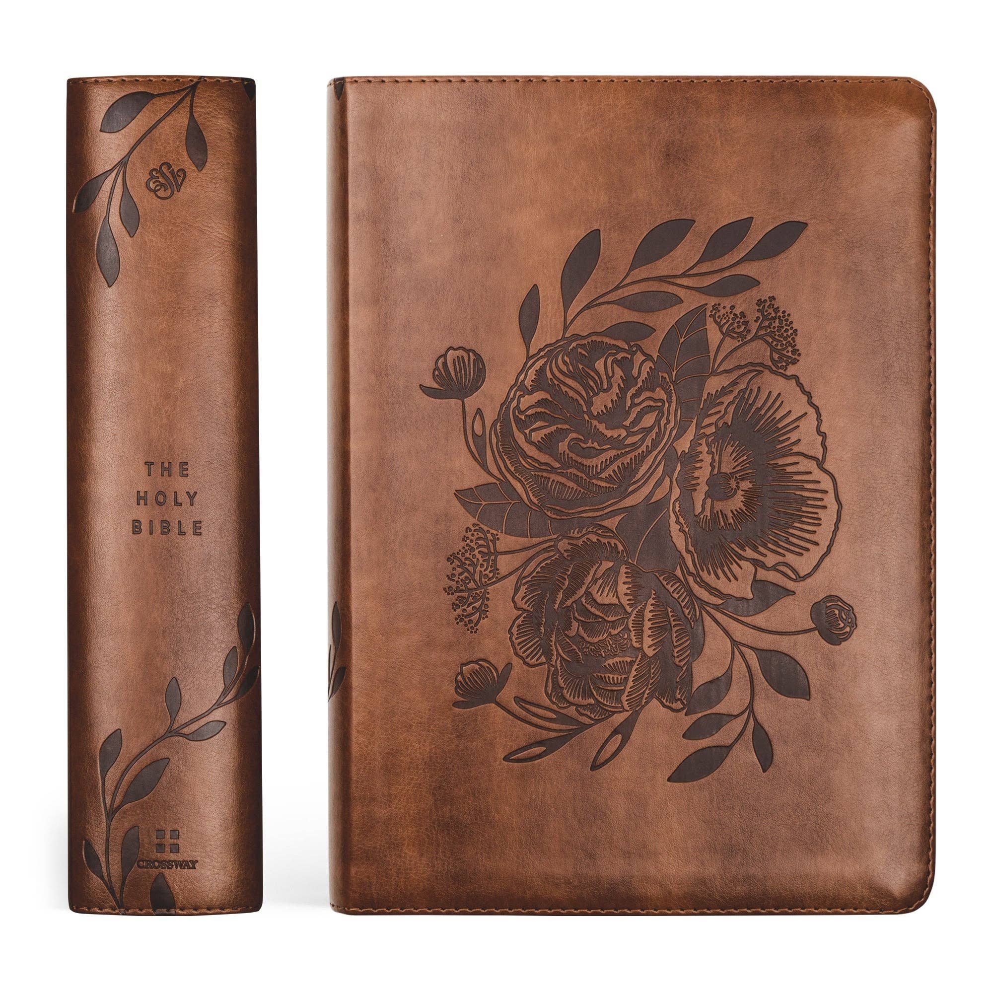 Aurora Theme Study Bible