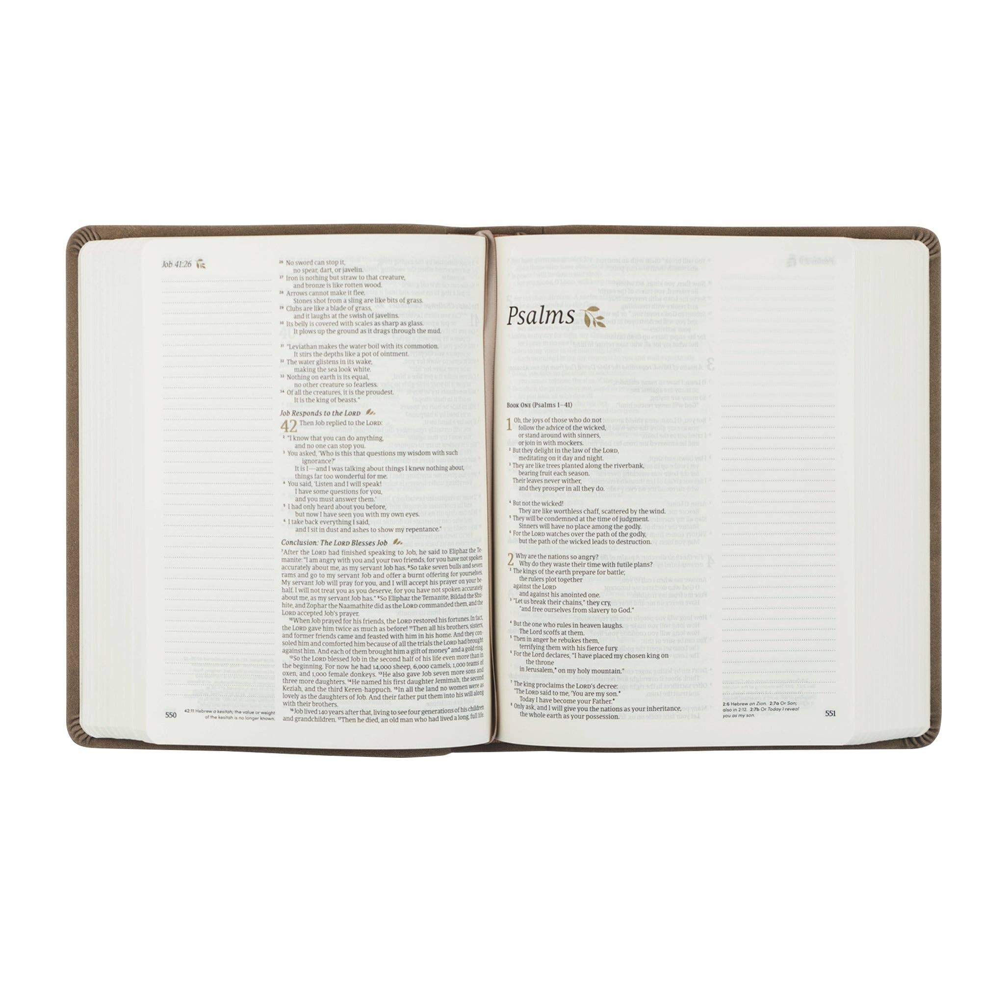 Marlo Theme Bible