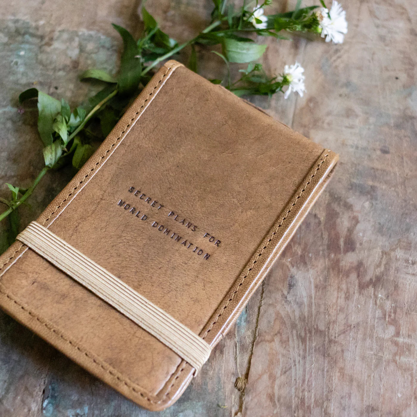 Secret Plans leather journal