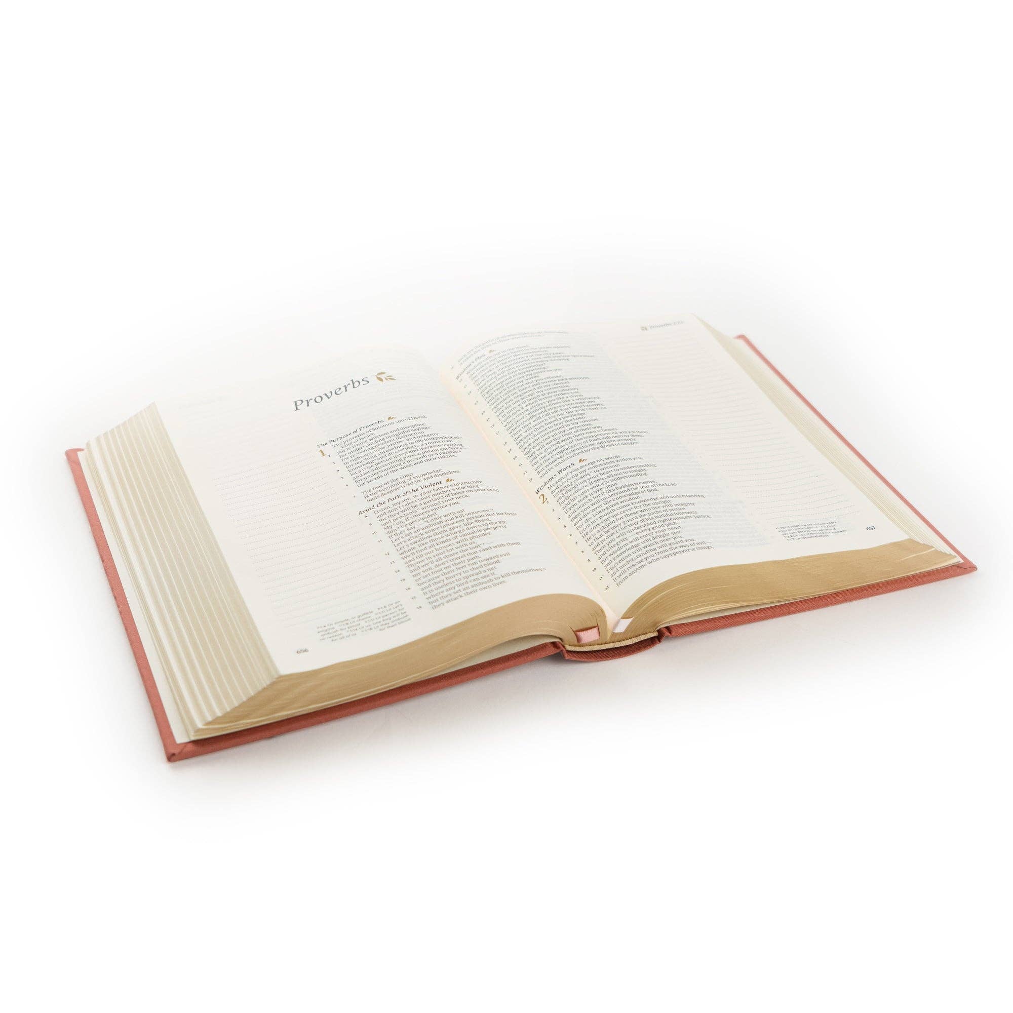 Rosedal Theme Bible