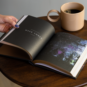 Wonder Bible Study