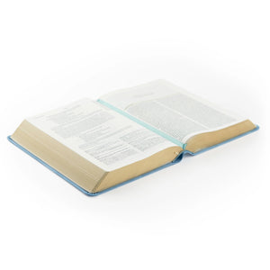 Bethany Theme ESV Study Bible