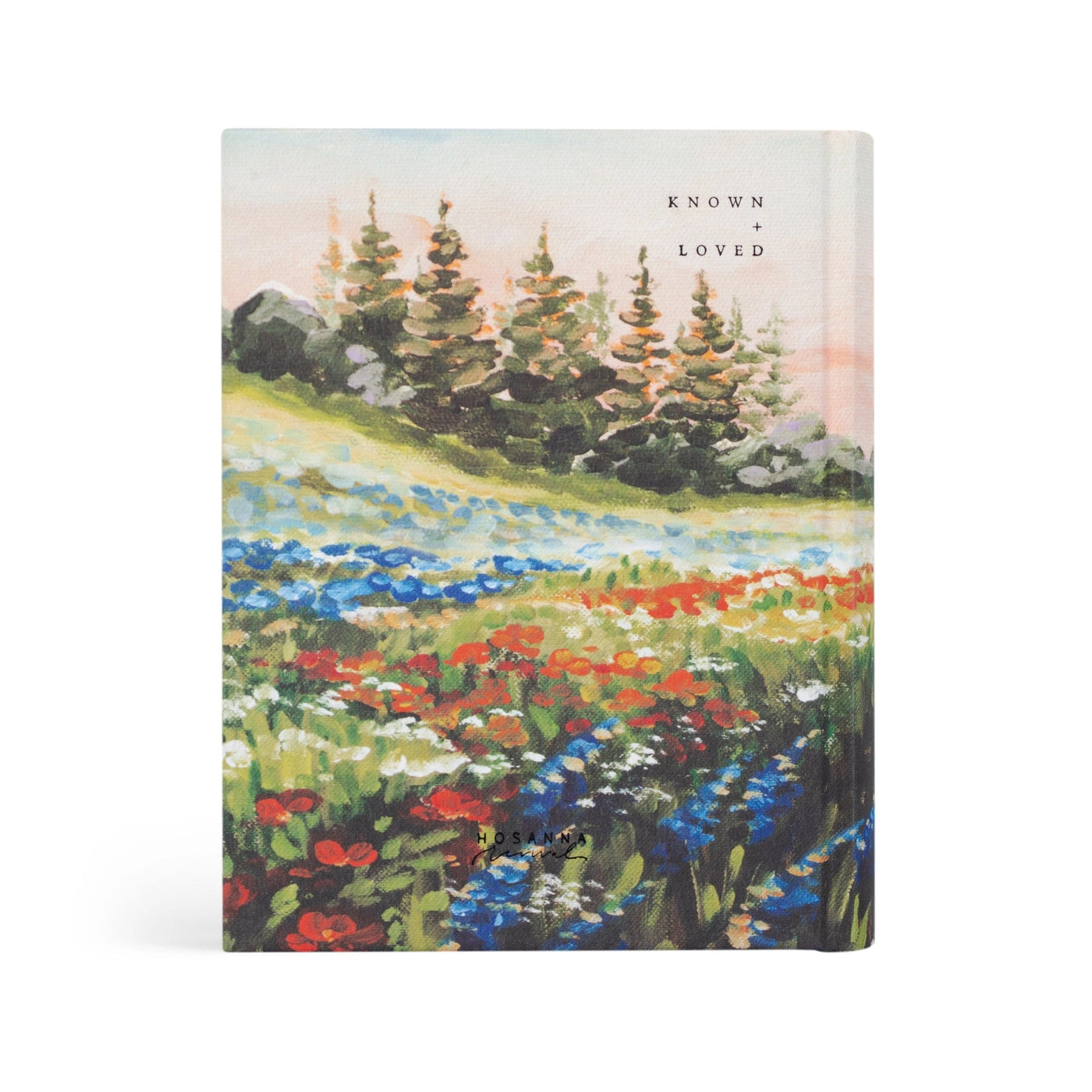 Coram Theme NLT Notetaking Bible