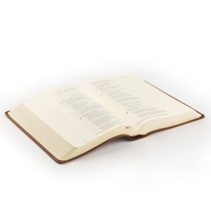 Sierra Theme ESV Journaling Bible