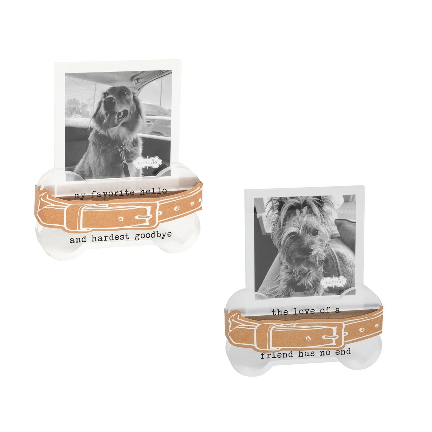 Collar Memorial Frame