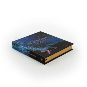 Wonder Bible Study
