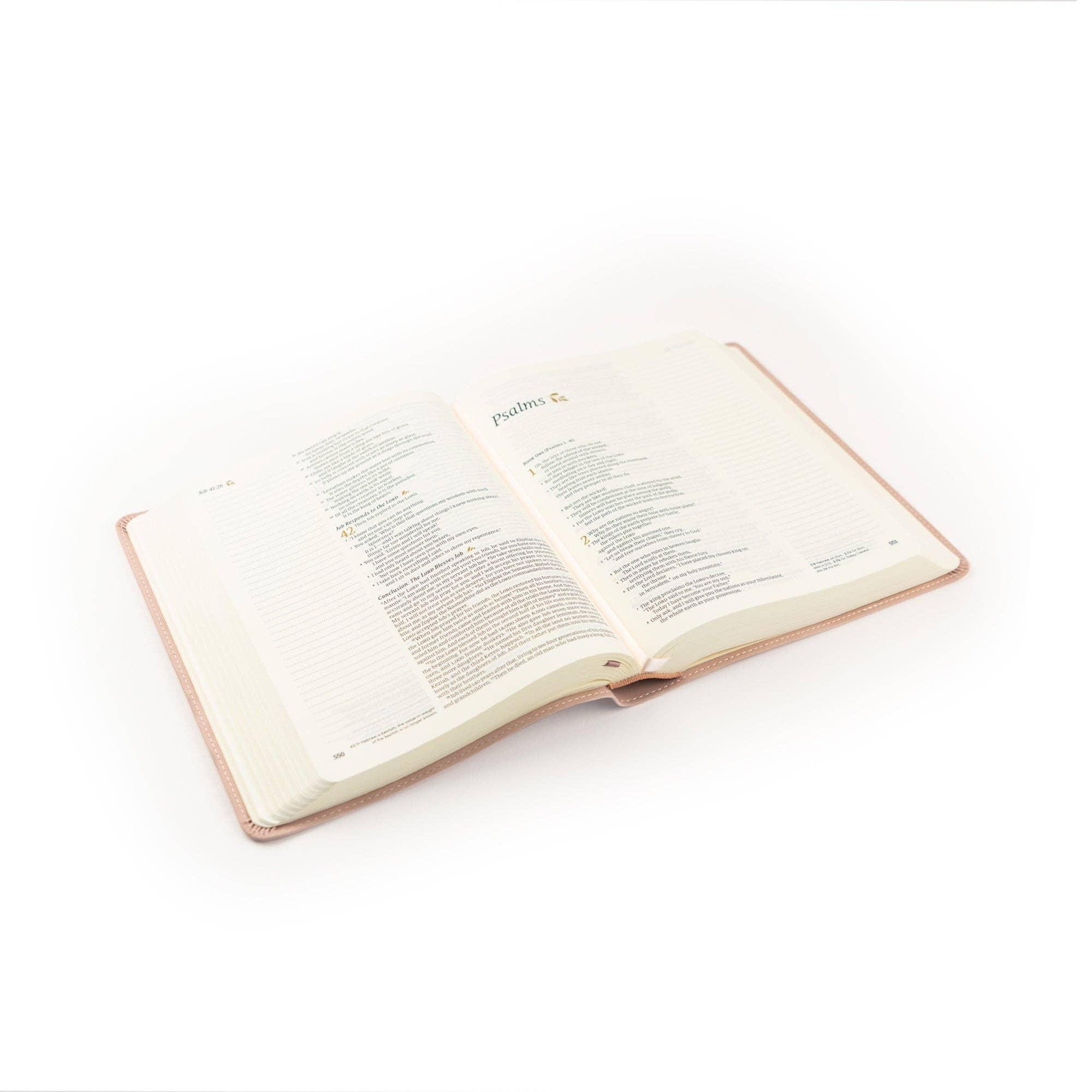 Shiloh Theme NLT Notetaking Bible