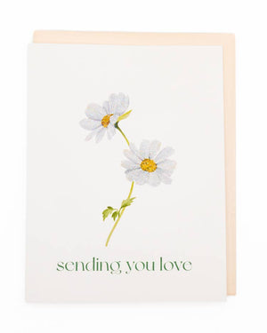 'Daisy Hug' Flower Sympathy Card