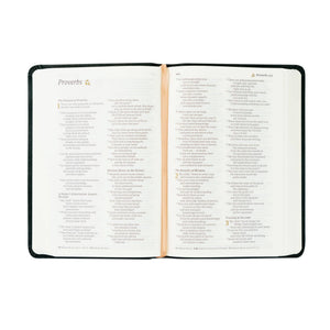 Jerusalem Theme NLT Compact Bible