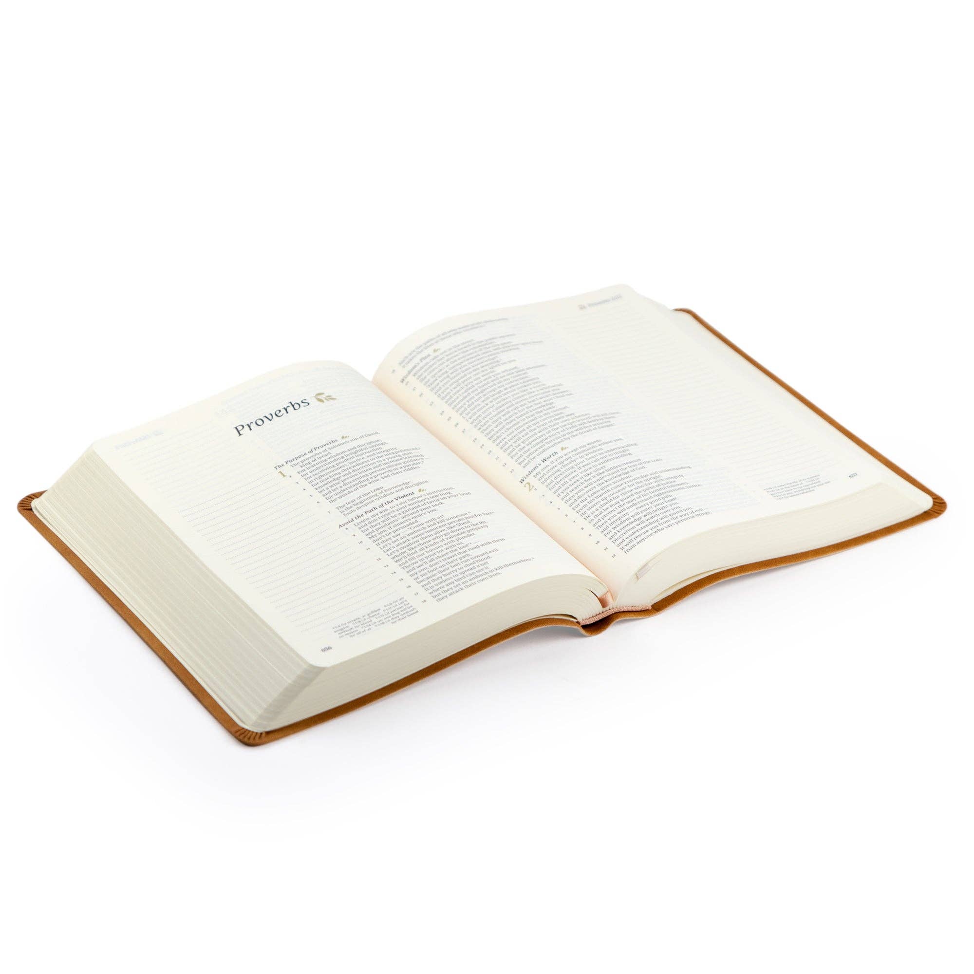 Amelia Theme Bible