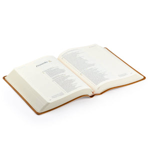 Amelia Theme Bible