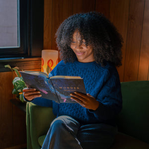Wonder Bible Study