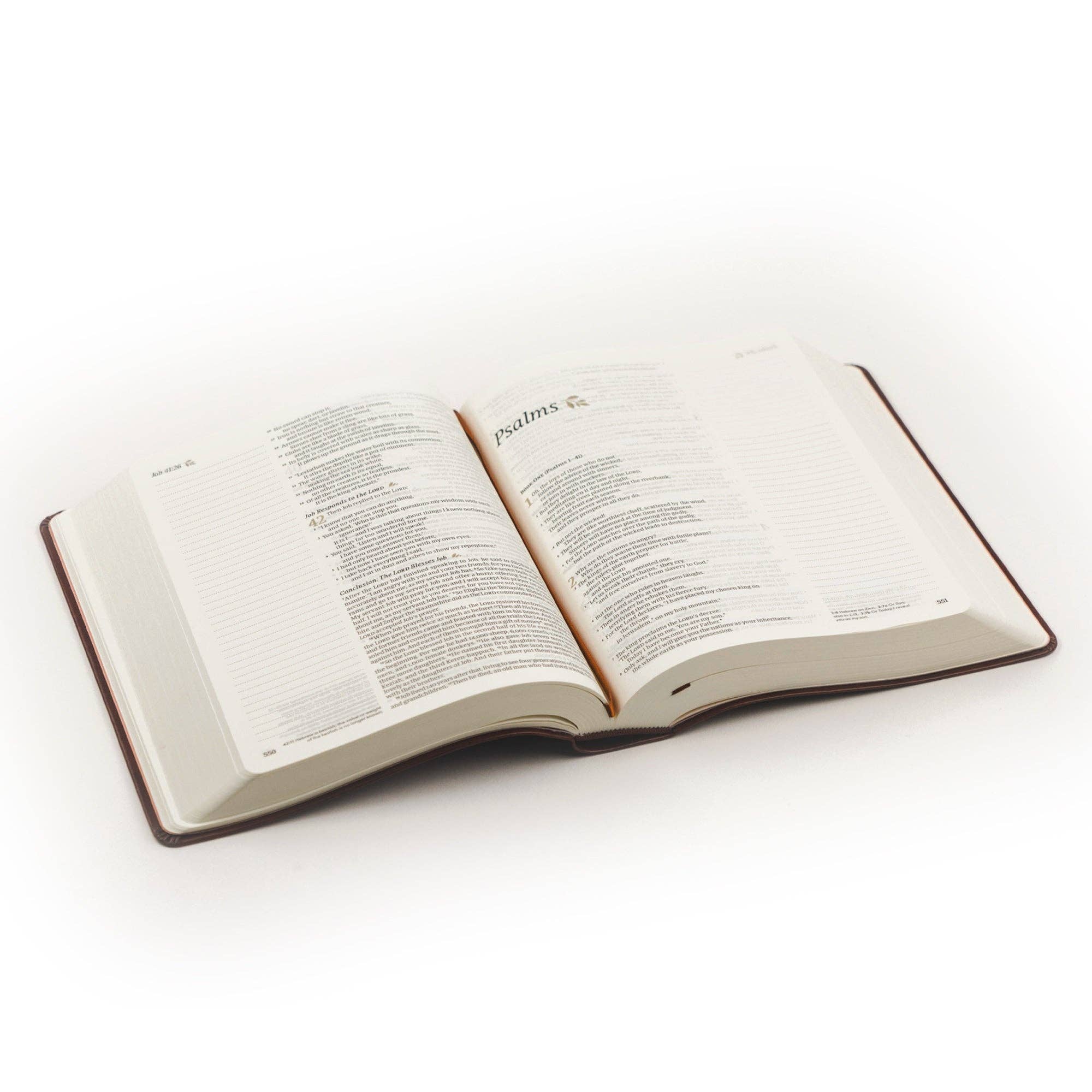 Santa Elena Theme NLT Notetaking Bible