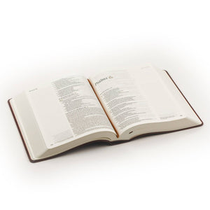 Santa Elena Theme NLT Notetaking Bible