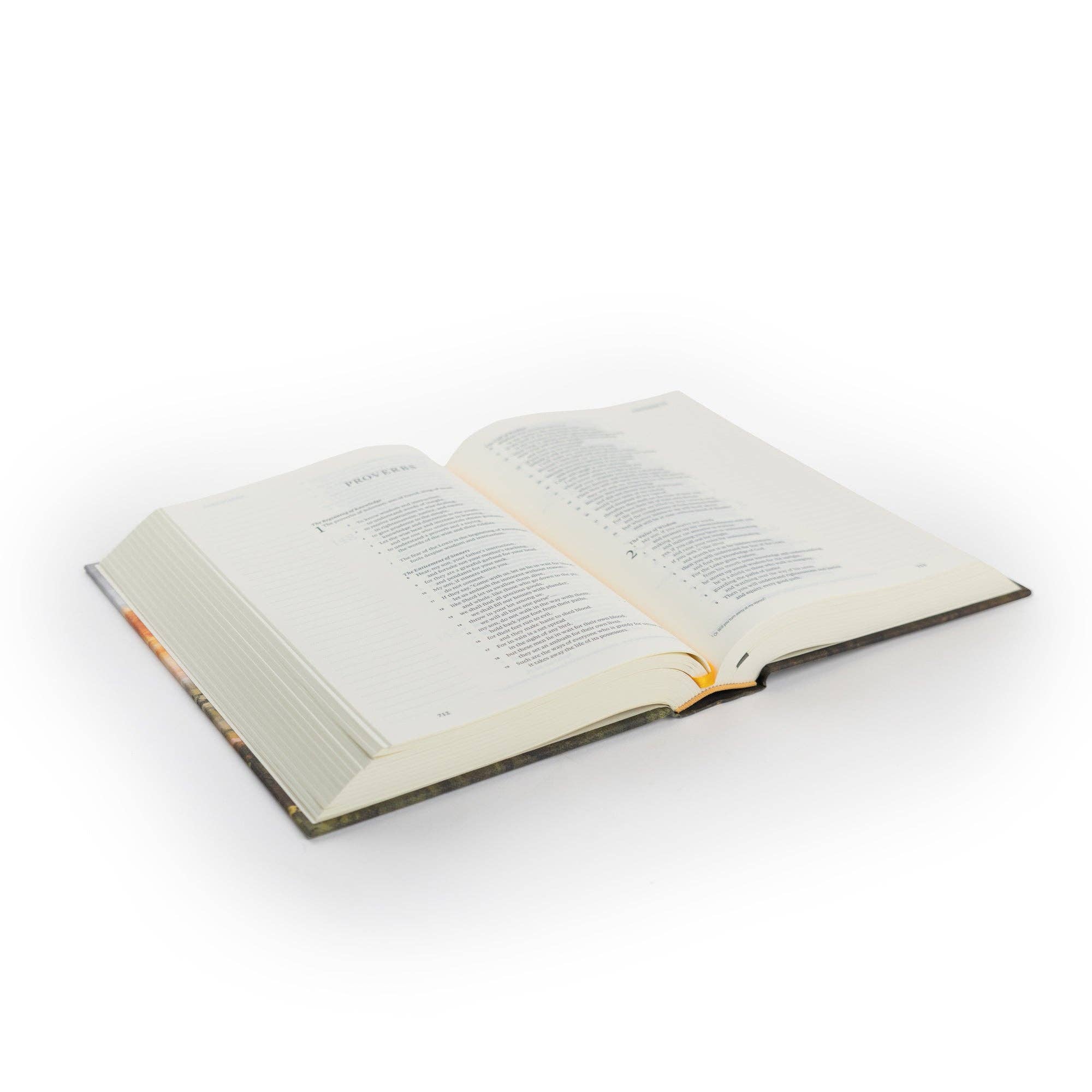 Florence Theme Bible