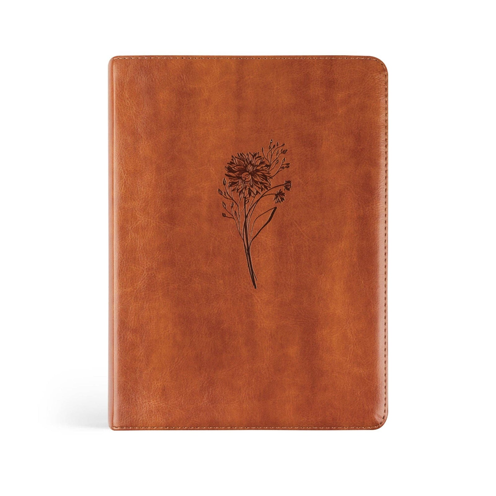 Sierra Theme ESV Journaling Bible