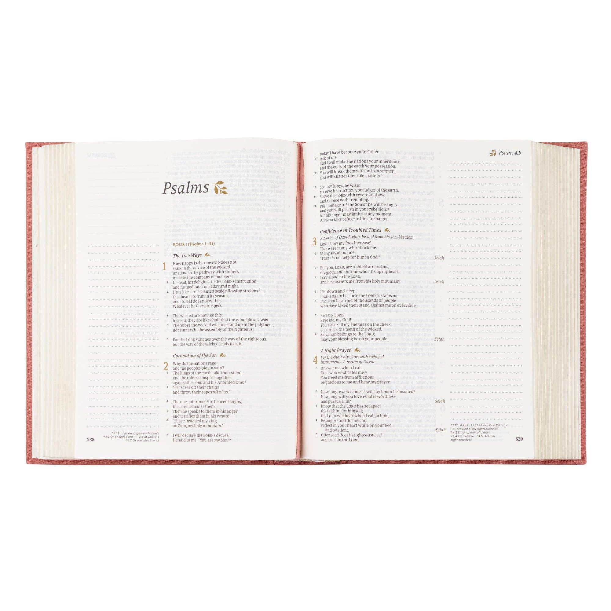 Rosedal Theme Bible