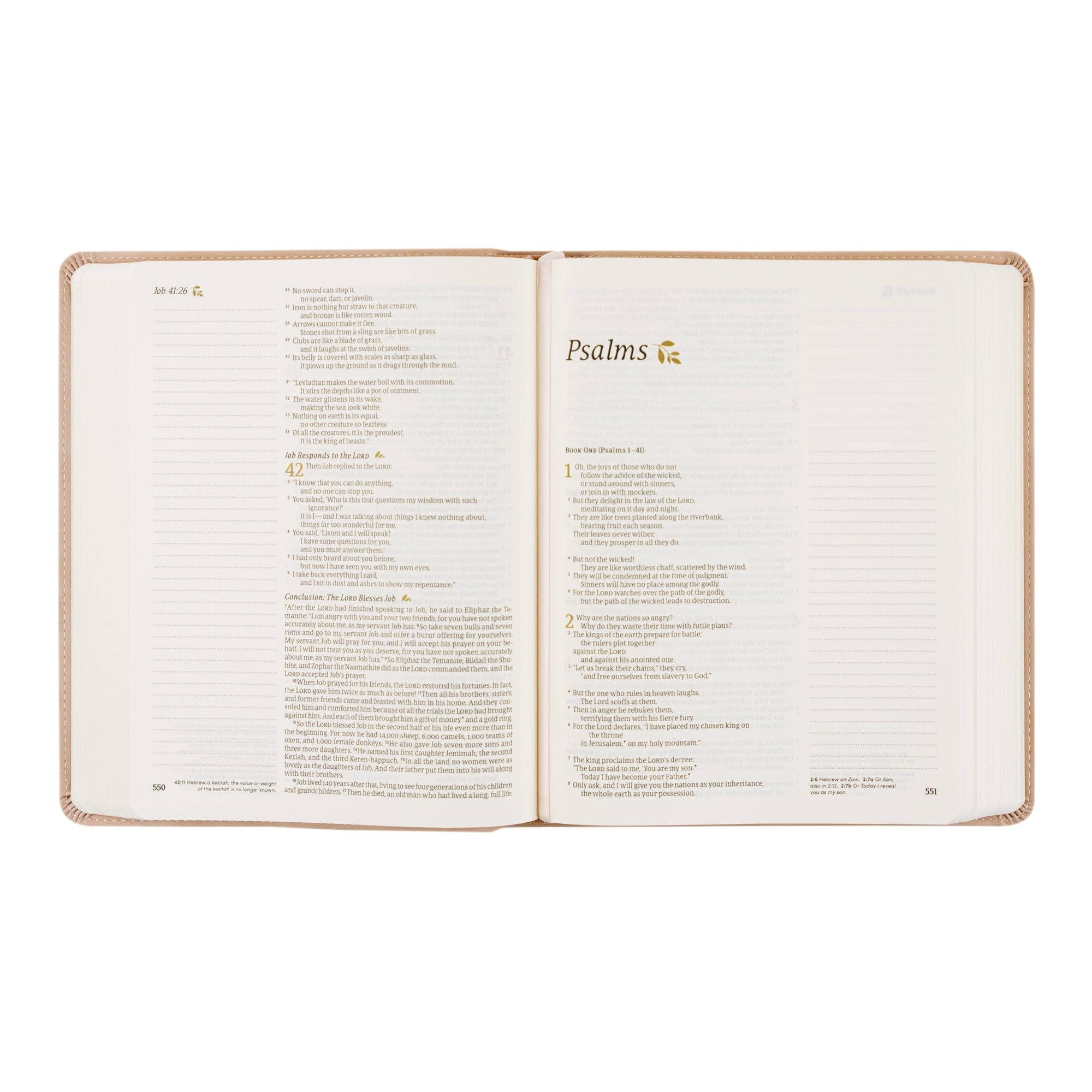 Shiloh Theme NLT Notetaking Bible
