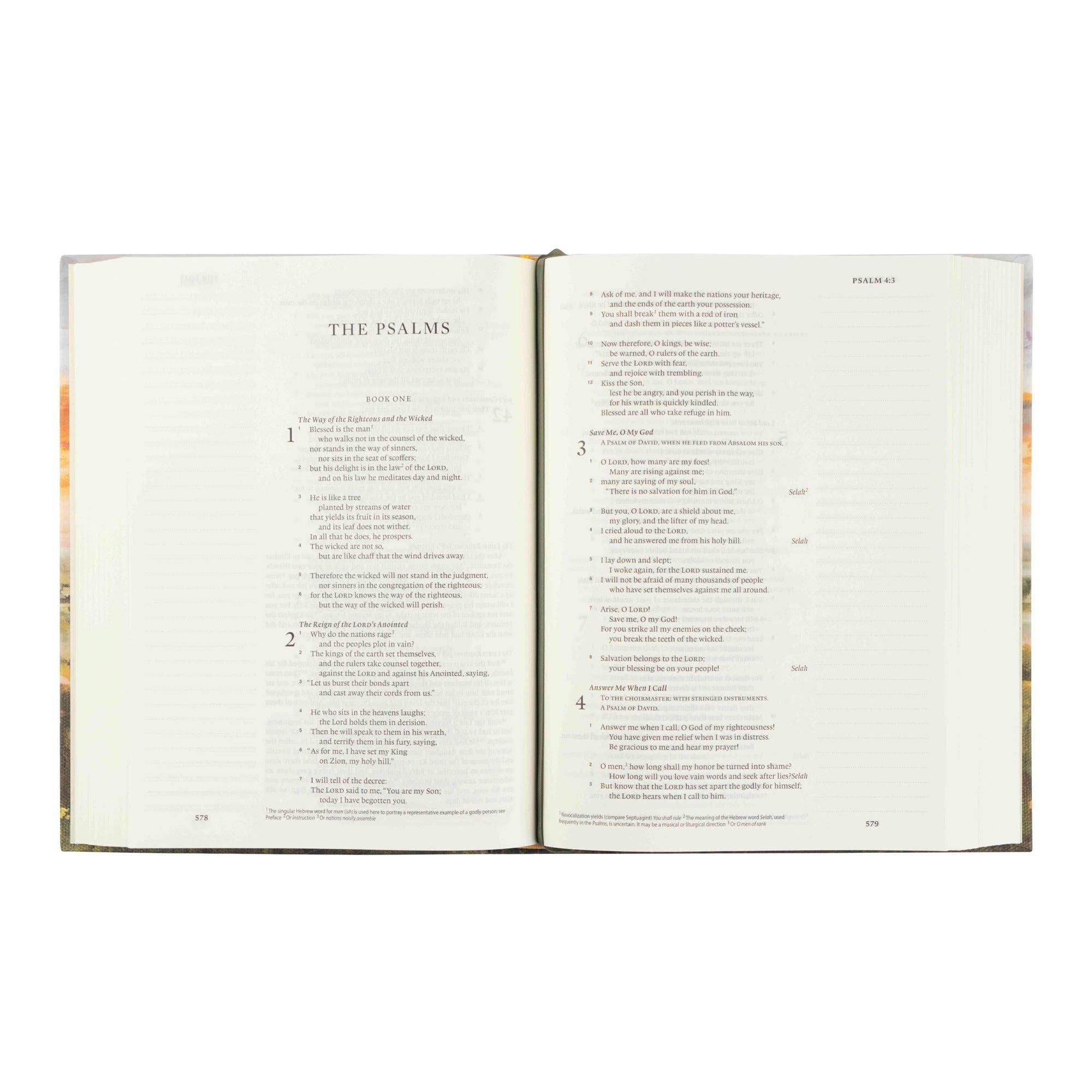 Florence Theme Bible