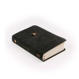 Jerusalem Theme NLT Compact Bible