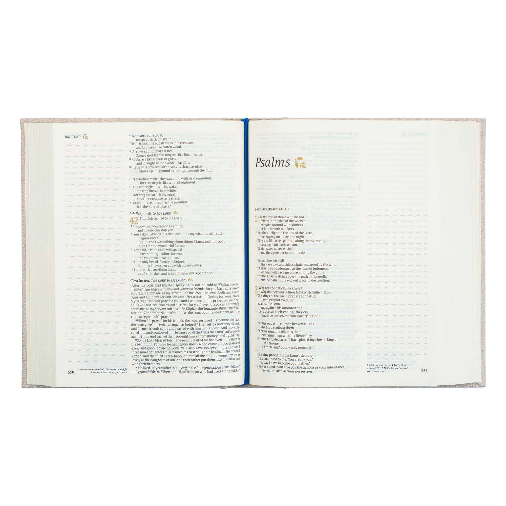 NLT Notetaking Bible - Adelaide Theme