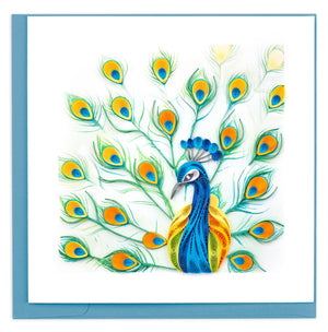 Peacock Feather Display Card