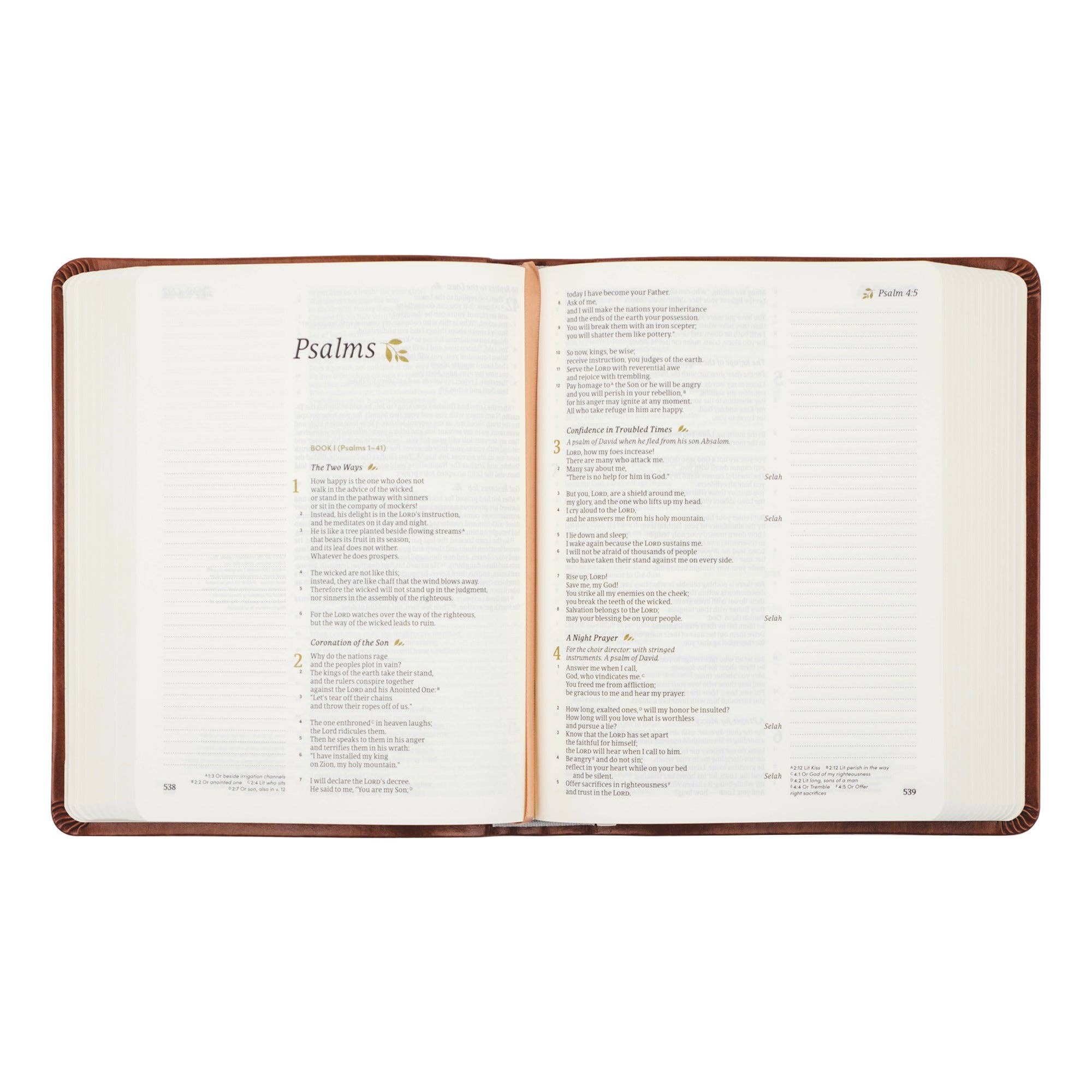 Vienna Theme CSB Notetaking Bible