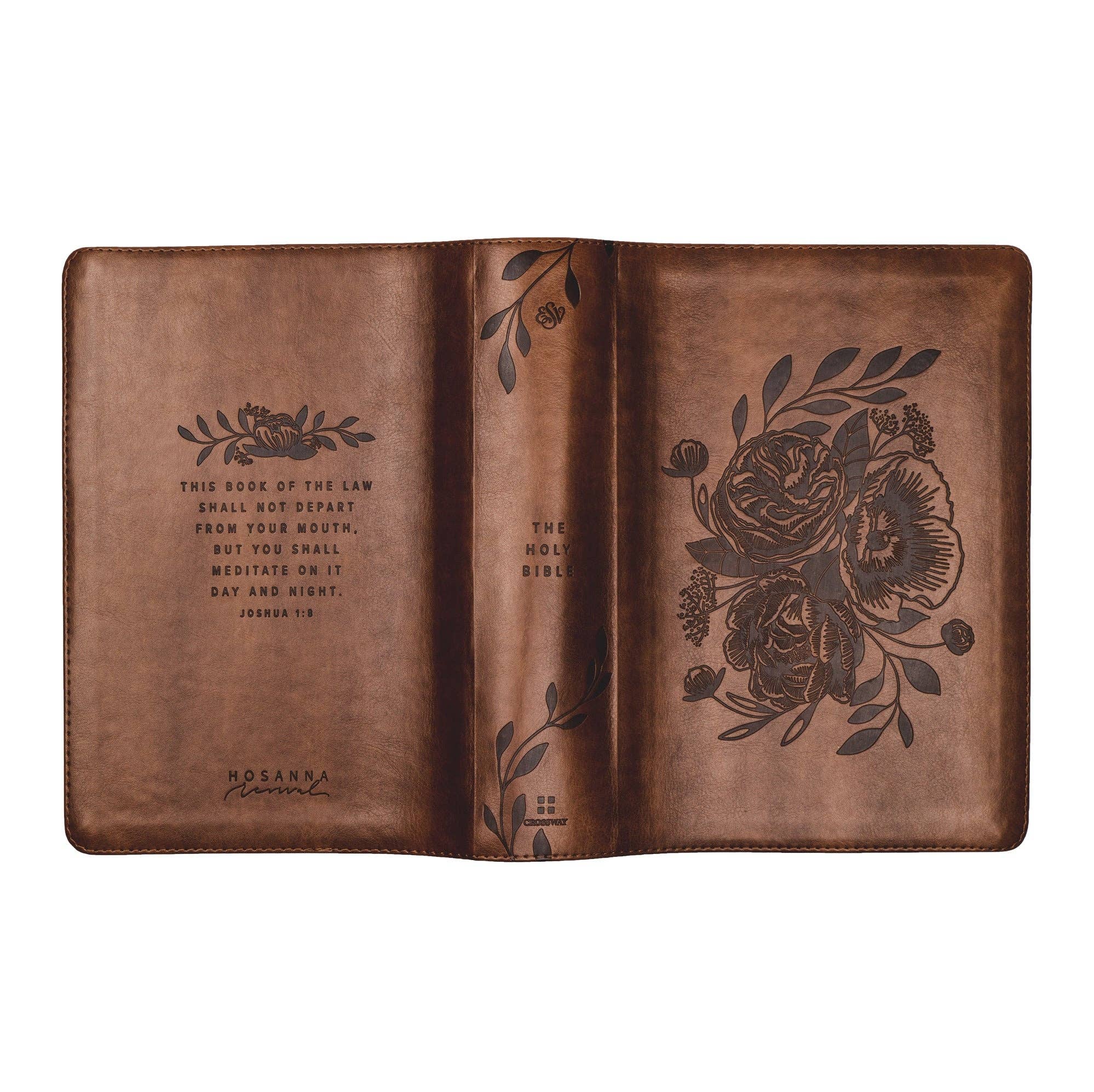 Aurora Theme Study Bible