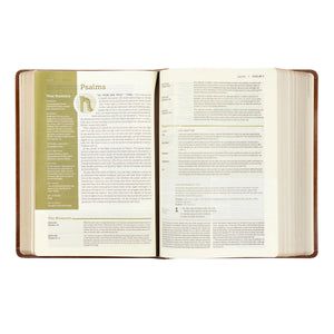 Edinburgh Theme NLT Life Application Study Bible