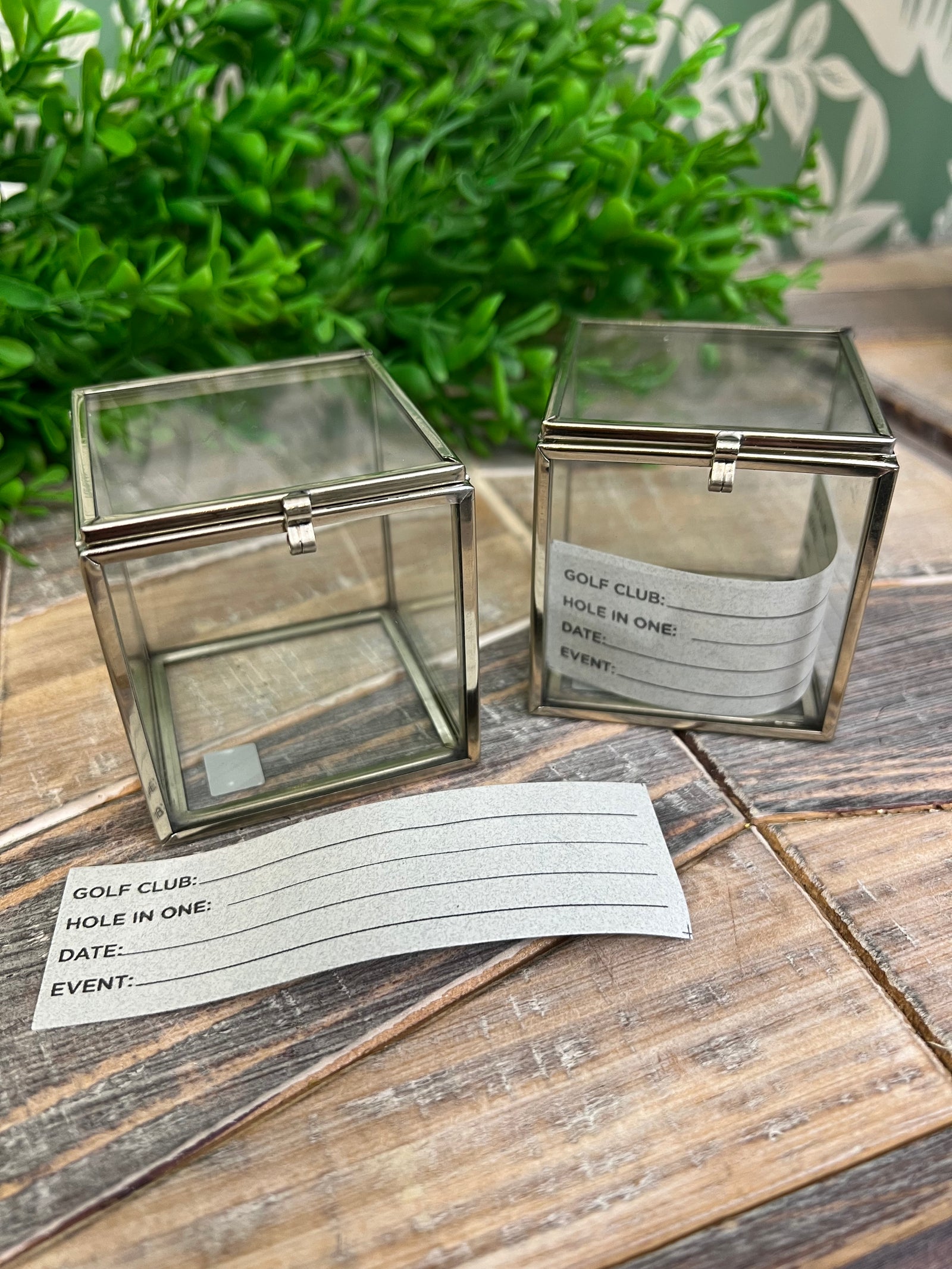 Golf Ball Display Case