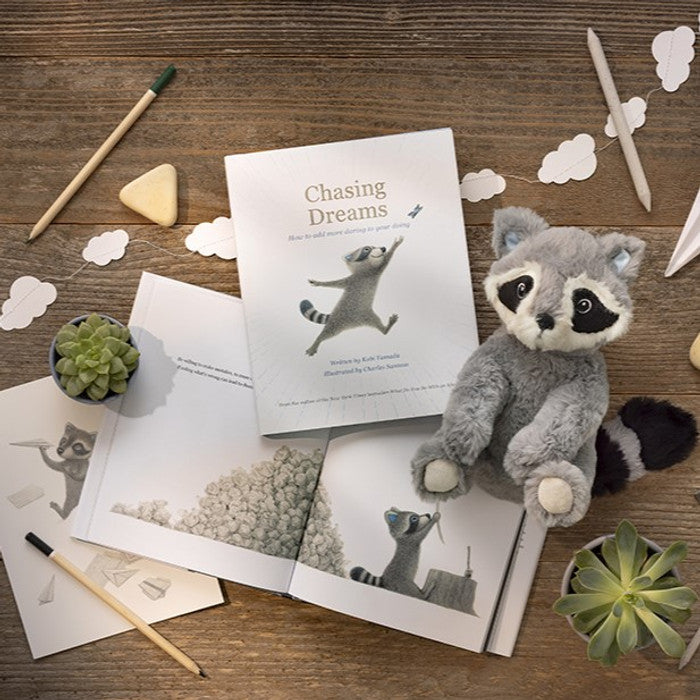 Chasing Dreams Book