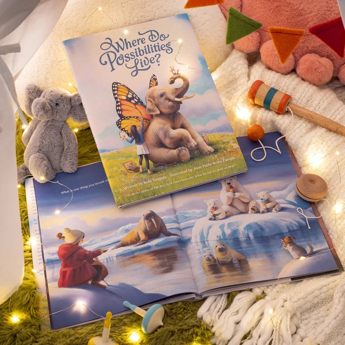 Where Do  Possibilities Live Book