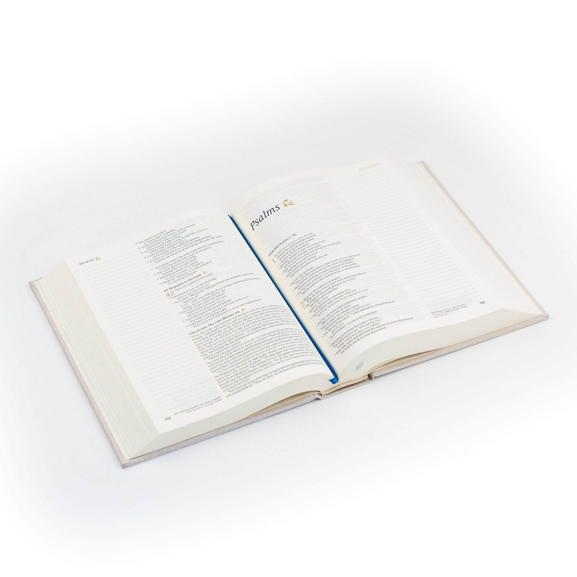 NLT Notetaking Bible - Adelaide Theme