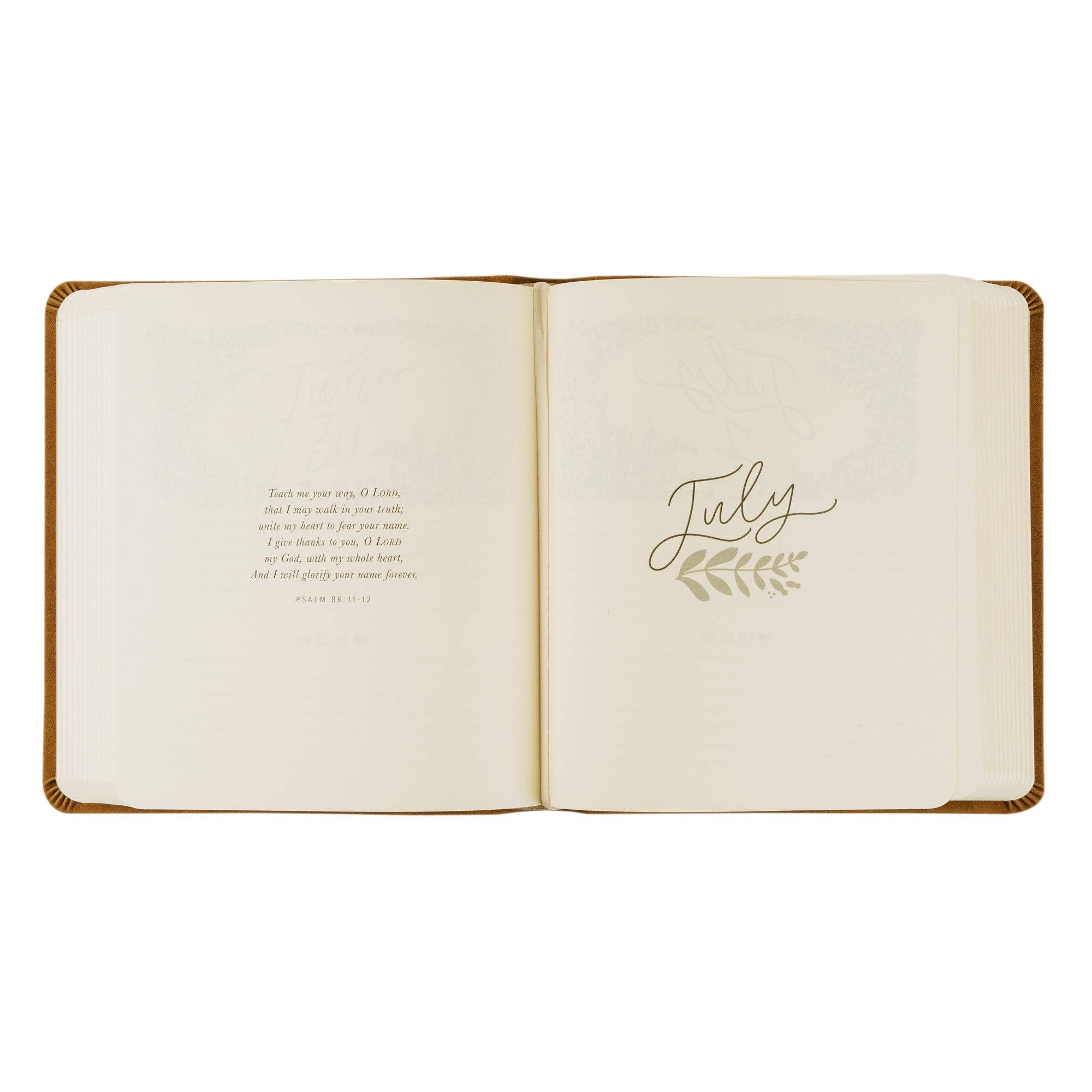 5-Year Prayer Journal: Amelia Theme