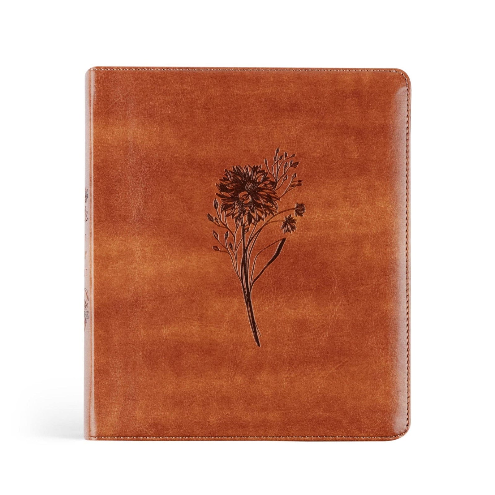 Sierra Theme ESV Journaling Bible