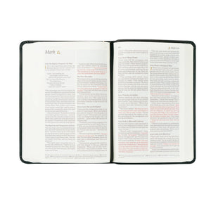 Jerusalem Theme NLT Compact Bible