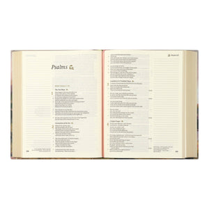 CSB Notetaking Bible: Faroe Theme
