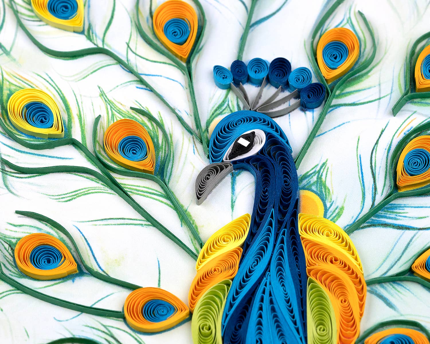 Peacock Feather Display Card