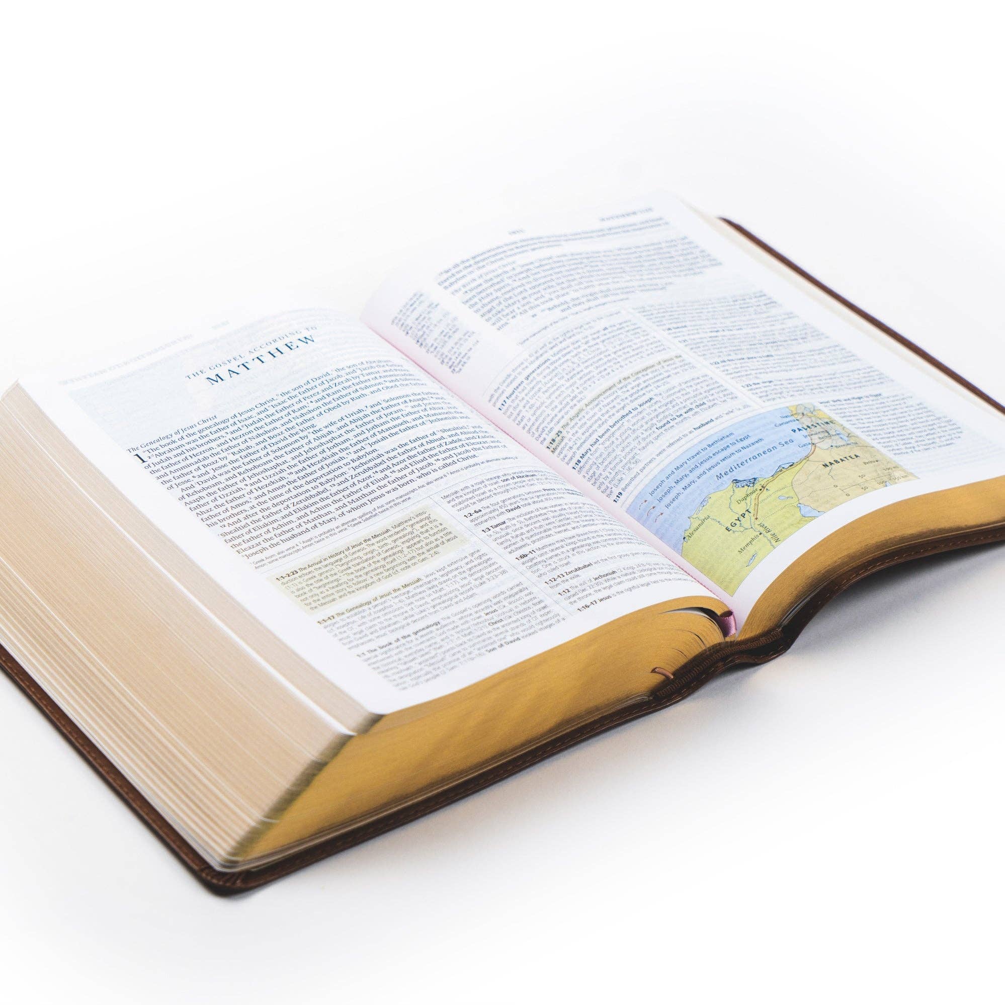 Aurora Theme Study Bible
