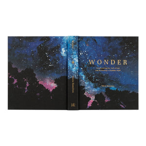 Wonder Bible Study