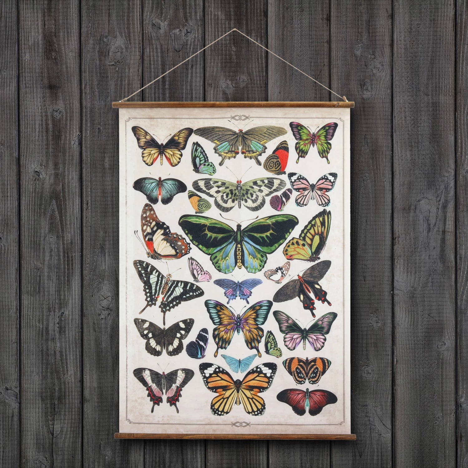 Scroll Butterflies Wall Decor