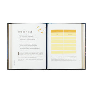 Wonder Bible Study